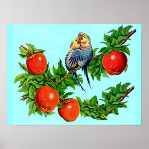 parakeets in love poster
