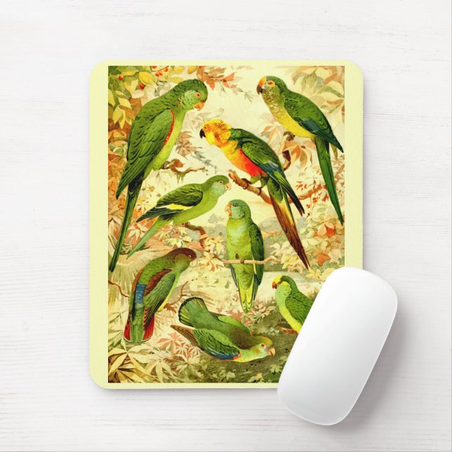 Parakeets, Mouse Pad (With Mouse)
