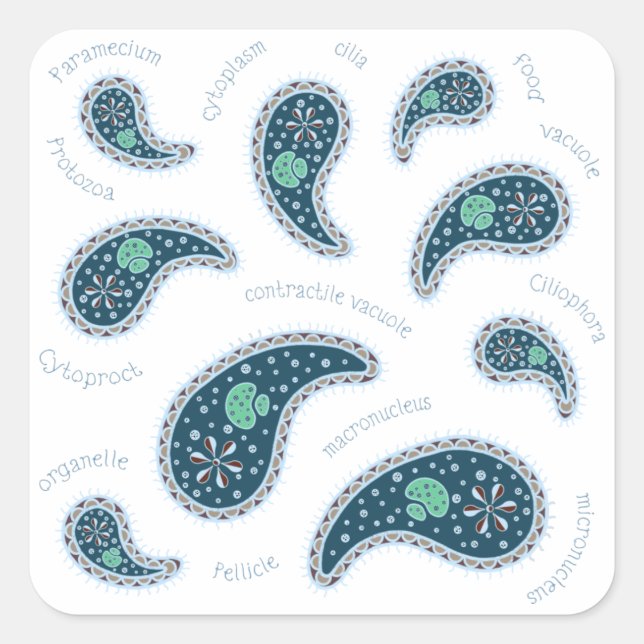 Paramecia Paisley Biology Science MIcrobe Dark Square Sticker (Front)