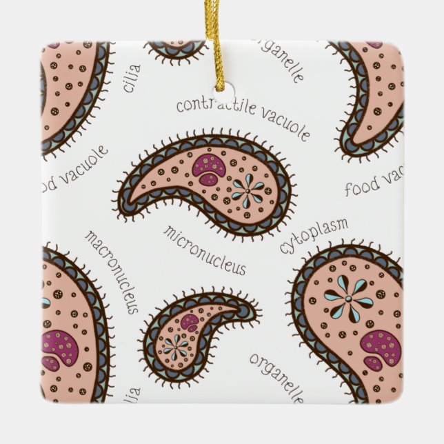 Paramecia Paisley Biology Science White Ceramic Ornament (Front)