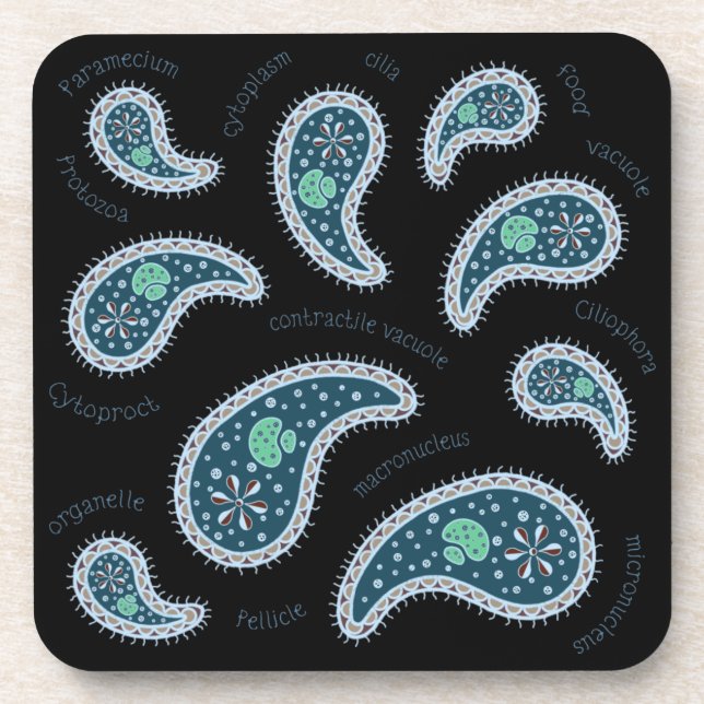 Paramecia Paisley Protozoan Biology Science Black Coaster (Front)