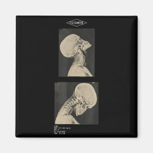 Paramore cropped headbanger x-ray doctors  magnet