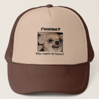 Paranoid Chihuahua keep a Cap on