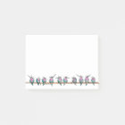 Paranoid Hummingbirds notes