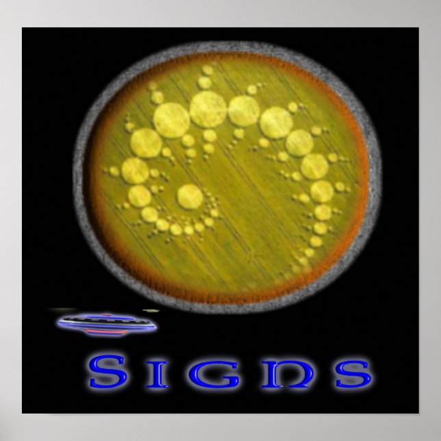 paranormal poster (Front)