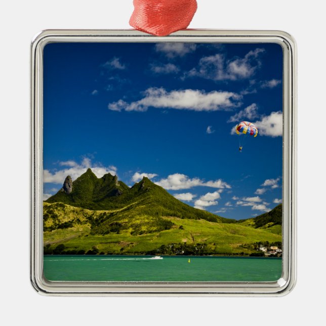 Parasailing within View of impressive Lion Metal Tree Decoration (Front)