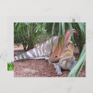 Parasaurolophus - Dinosaur - Postcard