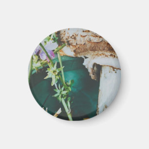 Parasol mushroom, Swedish Archipelago, Sweden Magnet