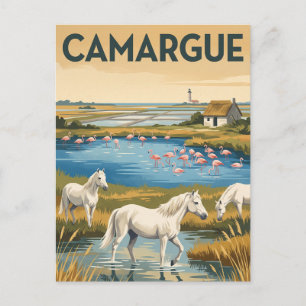 Parc naturel régional de Camargue France Postcard