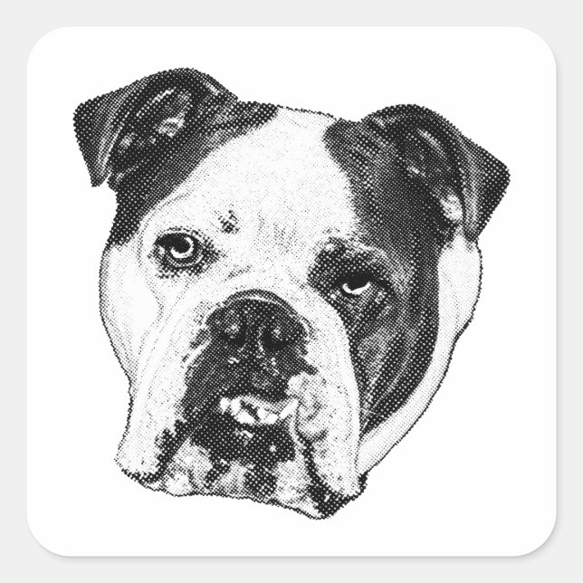 Parcel Mark Bulldog Square Sticker (Front)