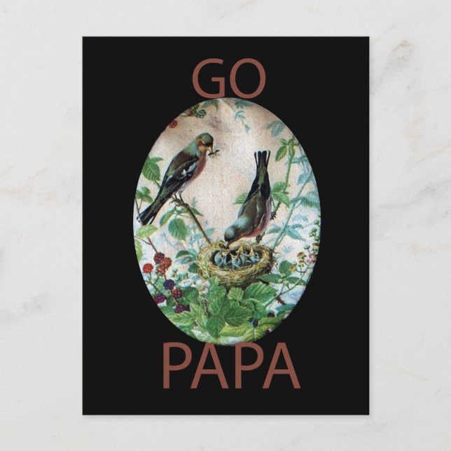 Parched Parents, Precious Chicks: A Nature's Story Postcard (Front)