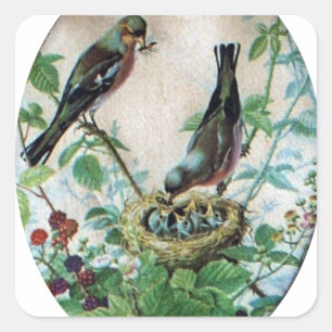 Parched Parents, Precious Chicks: A Nature's Story Square Sticker