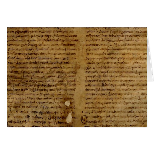 Parchment text with antique writing, old paper (Front Horizontal)