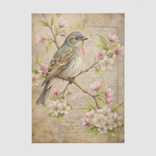 Parchment with Bird on Branch with Pink Blossoms Tissue Paper