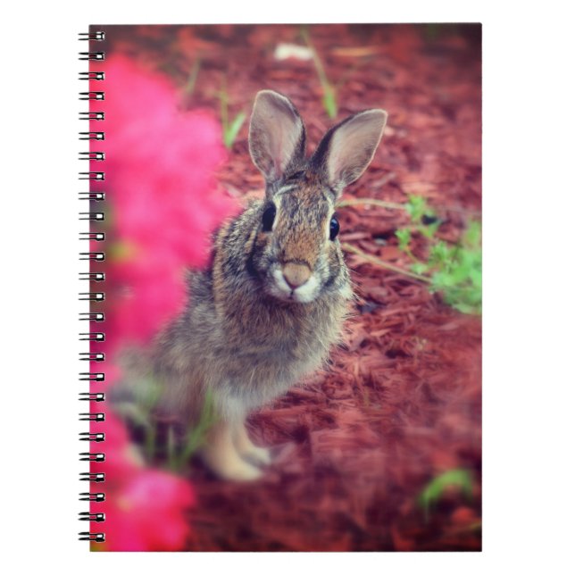 Pardon Me Bunny Spiral Journal (Front)