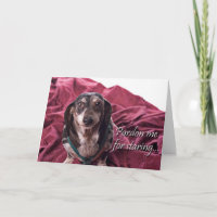 Pardon Me For Staring Birthday Card