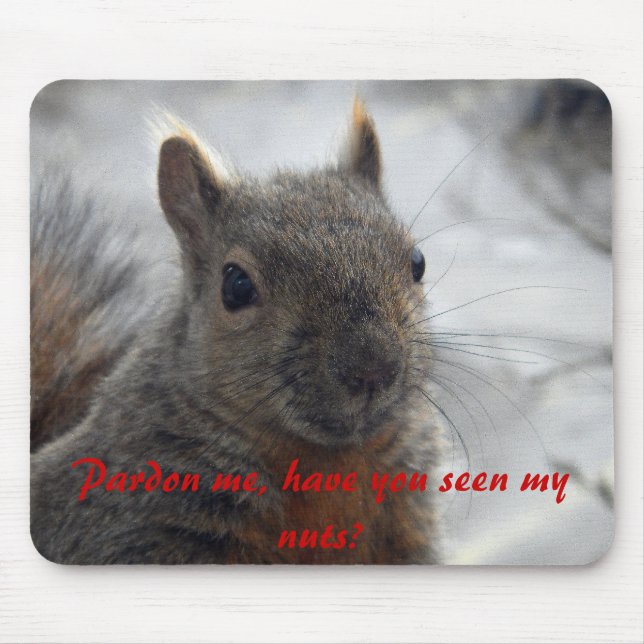 Pardon me, have you seen my nuts? mouse pad (Front)