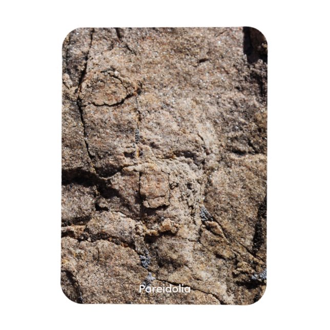 Pareidolia Magnet (Vertical)