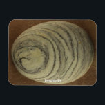 Pareidolia Magnet<br><div class="desc">Pareidolia
Is the mind's ability to see an image within natural
and random objects.
H.B. Miller  2000  Talking Canyons,  New Mexico</div>