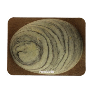 Pareidolia Magnet
