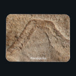 Pareidolia Magnet<br><div class="desc">Pareidolia
Is the mind's ability to see an image within natural
and random objects.
H.B. Miller  2000  Talking Canyons,  New Mexico</div>