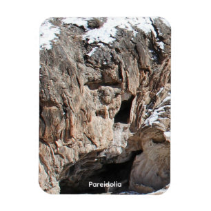 Pareidolia Magnet
