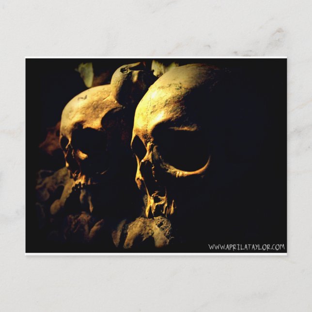 Paris Catacombs by April A Taylor Postcard (Front)