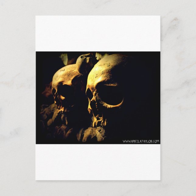Paris Catacombs by April A Taylor Postcard (Front)