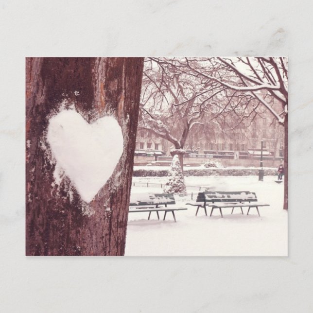 Paris, city of love (Notre Dame gardens) Postcard (Front)