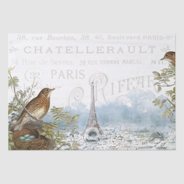 Paris Eiffel Tower Bird Nest French Text Decoupage Tissue Paper (Front)