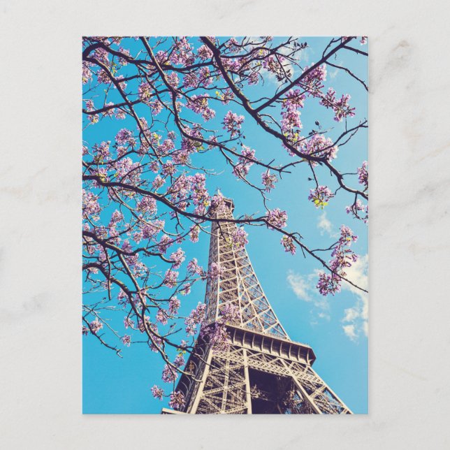 Paris Eiffel Tower Blooms in Springtime Postcard (Front)