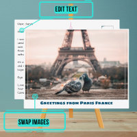 Paris Eiffel Tower Love Birds