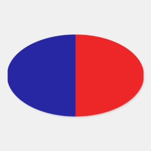 Paris Flag Oval Sticker