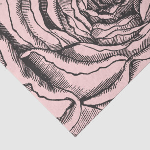 Paris Floral Botanical Rose on Blush Pale Pink Tissue Paper