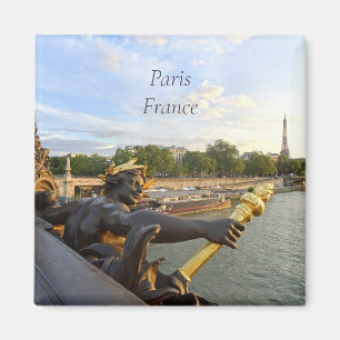 Paris France Pont Alexandre. Magnet