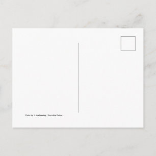 Paris, FrancePostcard Postcard