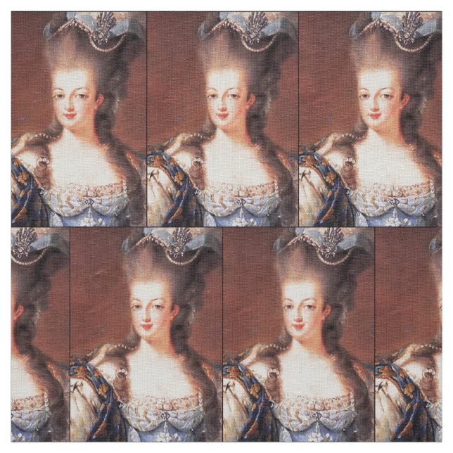 Paris French Marie Antoinette Fabric (Swatch)