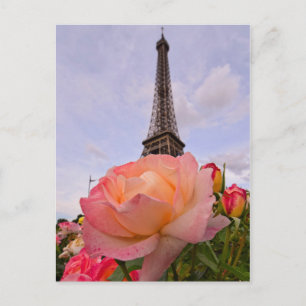 Paris in Spring is Always a Good Idea Postcard