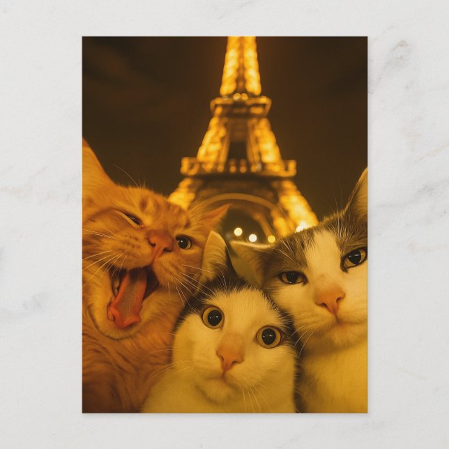 Paris Night Cat Selfie Squad Lover                 Postcard (Front)