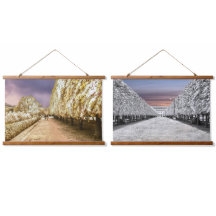 Paris Palais Royal Garden