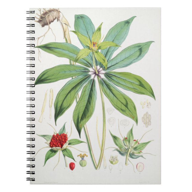 Paris Polyphylla Smith Flower Floral Notebook (Front)