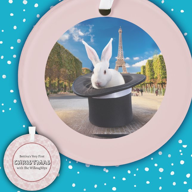 Paris Rabbit's First Christmas Ornament (Creator Uploaded)
