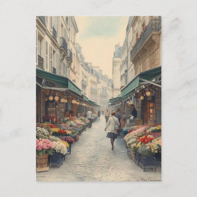Paris Streets Postcard (Front)