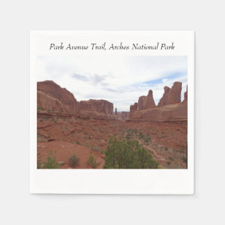Park Avenue Trail, Arches National Park Napkin