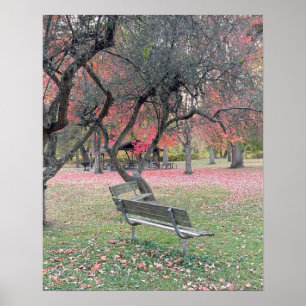 Park Bench in Autumn Poster