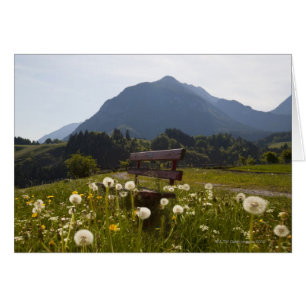 Park bench in rural field
