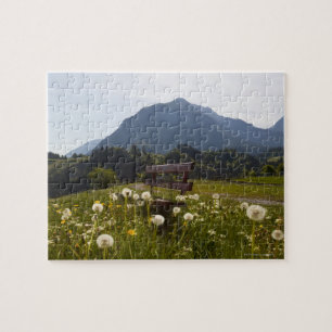 Park bench in rural field jigsaw puzzle