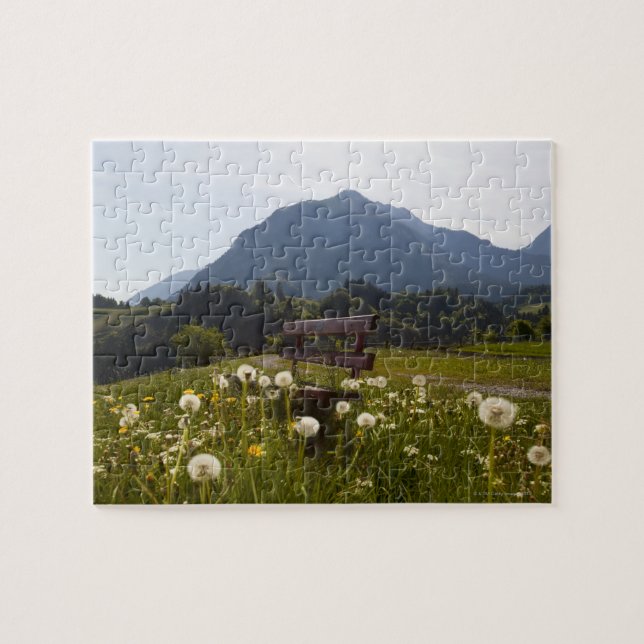 Park bench in rural field jigsaw puzzle (Horizontal)