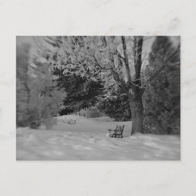 Park Bench in Winter Postcard (Front)