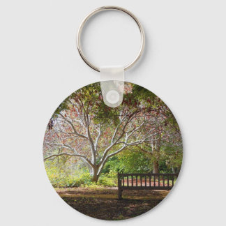 Park bench key ring